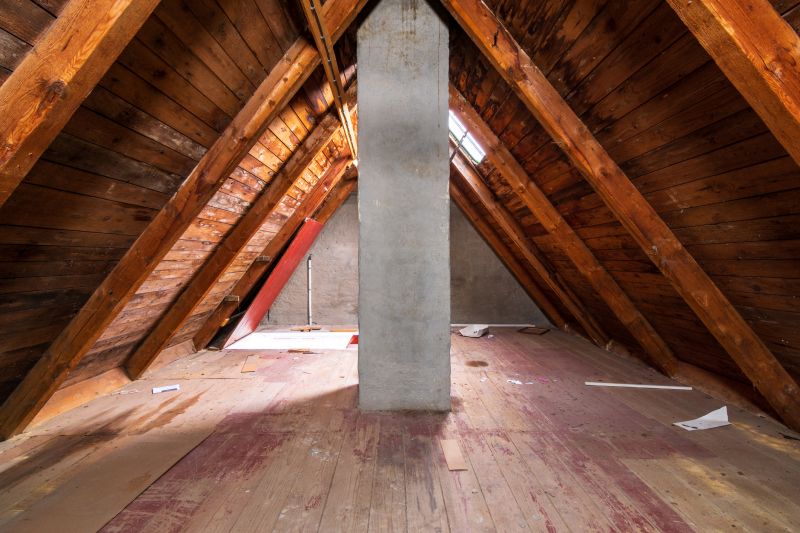 Attic Crawl Space Cleaning