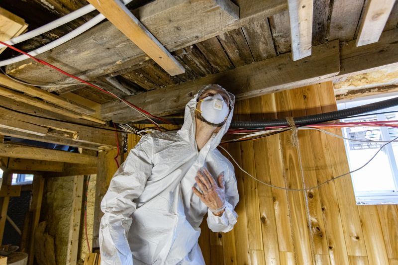 Attic Inspection During Spring